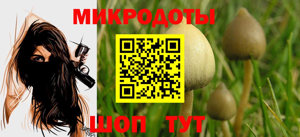 Псилоцибиновые грибы мухоморы  Вход с VPN  Богданович 
